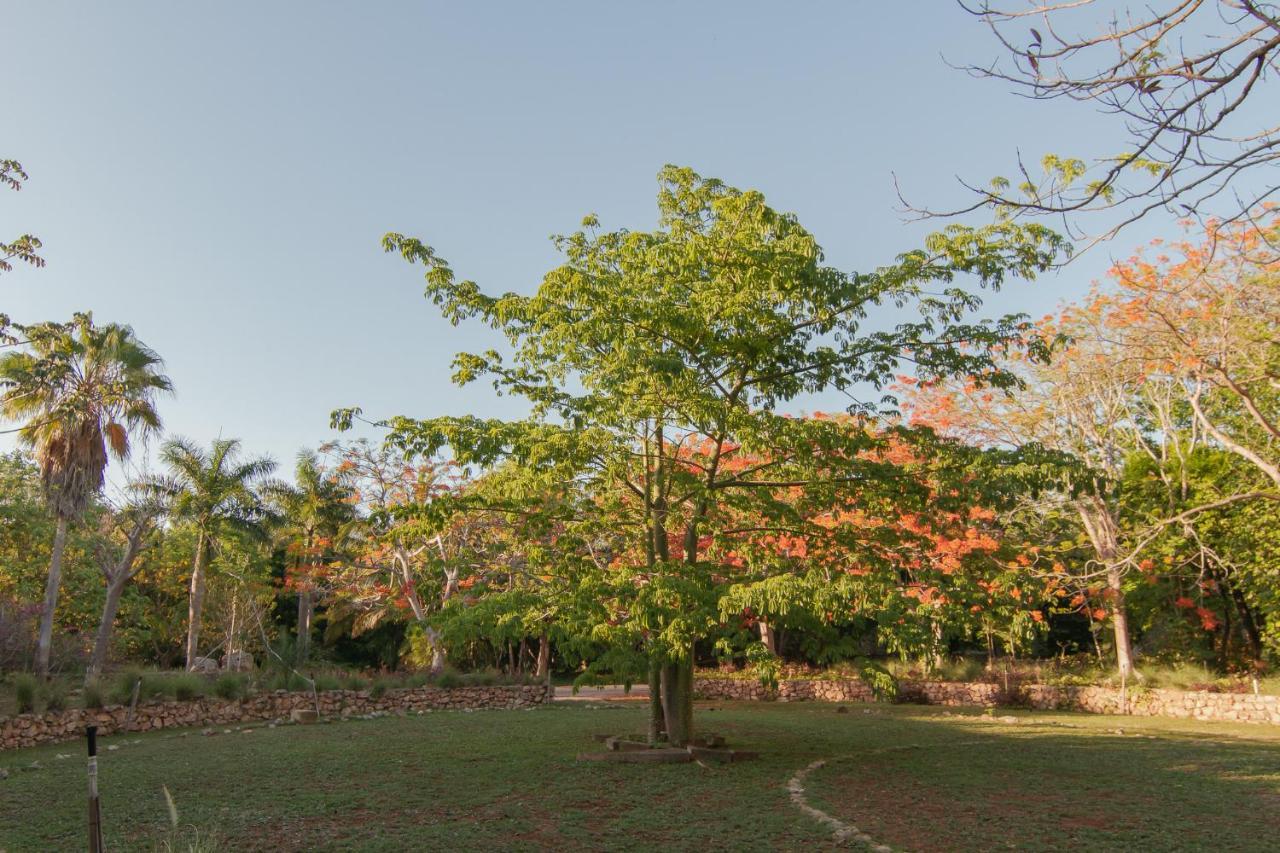 Hacienda Shambalante Bed and Breakfast Izamal Εξωτερικό φωτογραφία